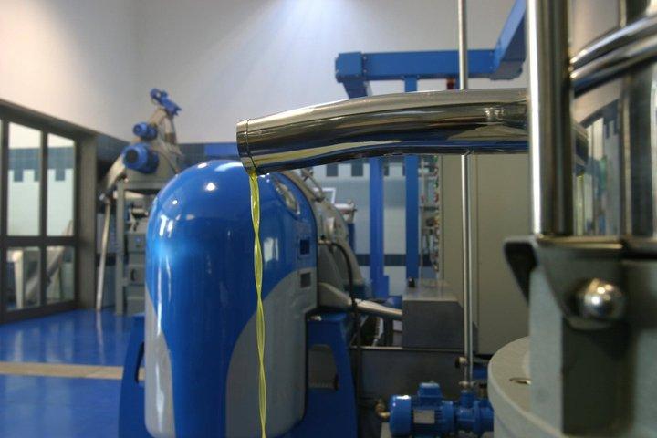 Olive Oil Tour and Tasting Experience in Salento