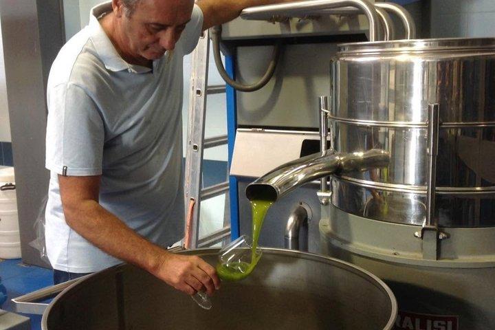 Olive Oil Tour and Tasting Experience in Salento