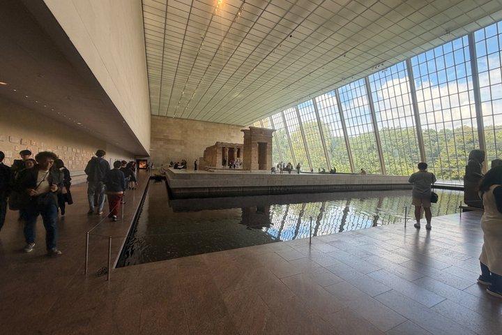博物館写真ツアー（自然史とメトロポリタン美術館）時間貸し