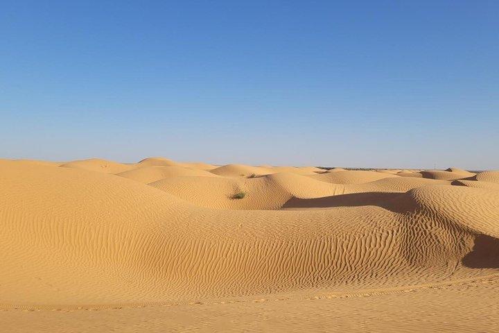 Ksar Ghilane Oasis Overnight Tour from Douz