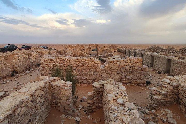 Ksar Ghilane Oasis Overnight Tour from Douz