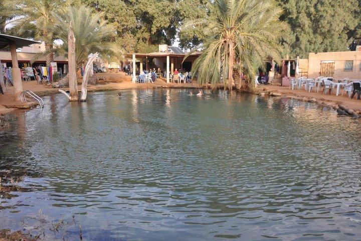 Ksar Ghilane Oasis Overnight Tour from Douz