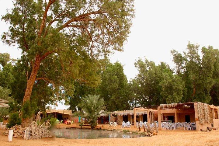Ksar Ghilane Oasis Overnight Tour from Douz