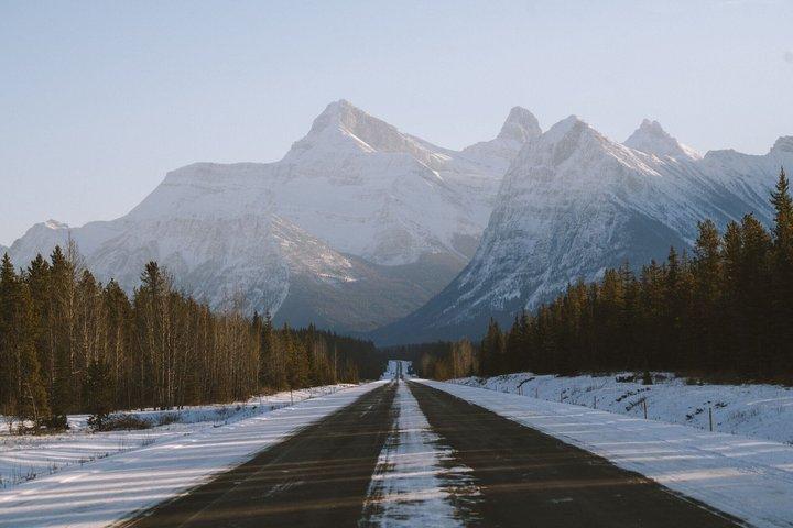 Banff Evening Winter Wildlife Viewing Tour 3hr Safari Drive
