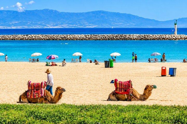 Tarifa à Tanger : Excursion privée guidée d'une journée avec ferry