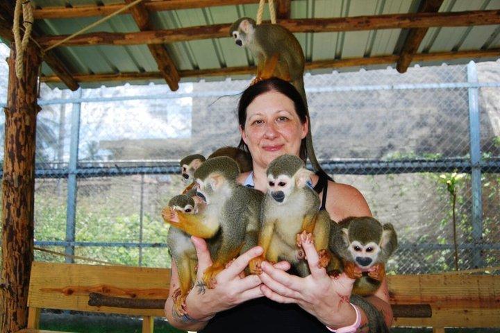 Monkey Encounter Tour from Puerto Plata