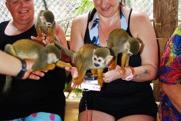 Monkey Encounter Tour from Puerto Plata