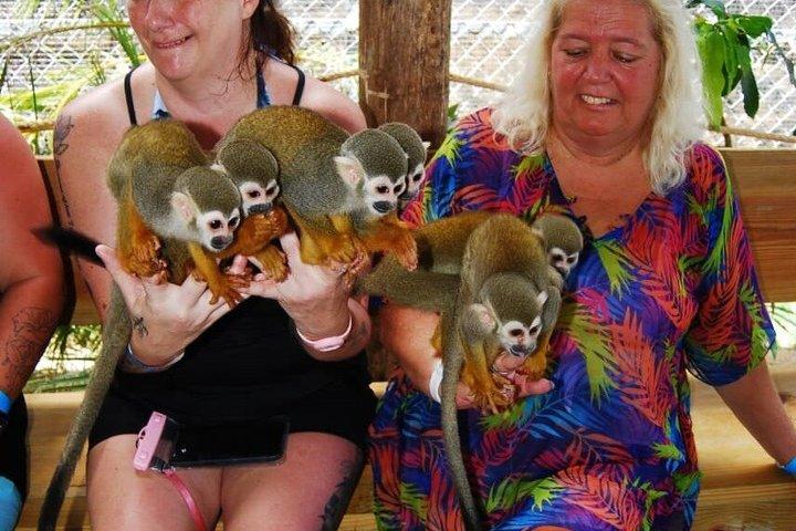 Monkey Encounter Tour from Puerto Plata