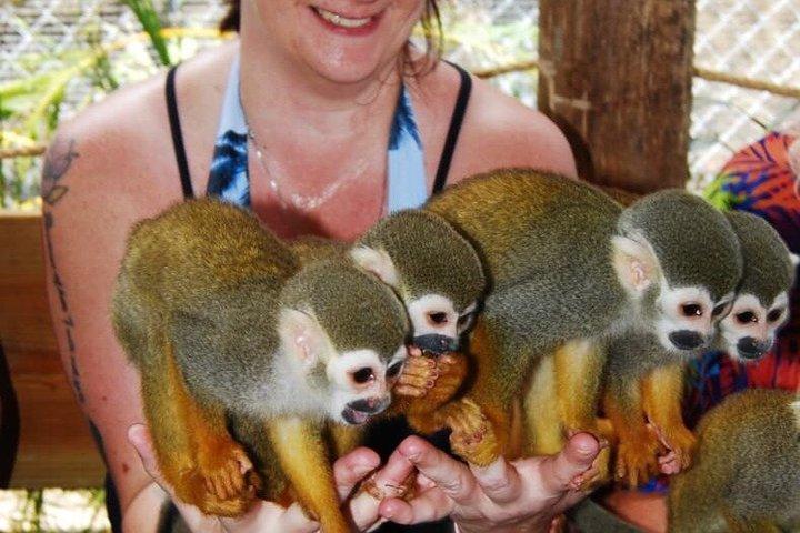 Monkey Encounter Tour from Puerto Plata