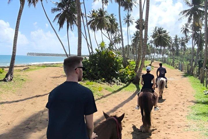 PRIVATE TOUR | Dominican Eco Adventure: Horseback, ATV & Beach