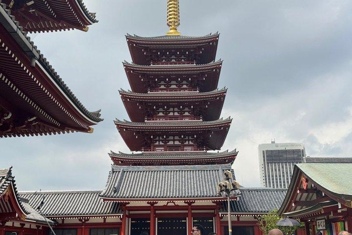 東京乗り継ぎプライベートツアー（空港送迎付き）