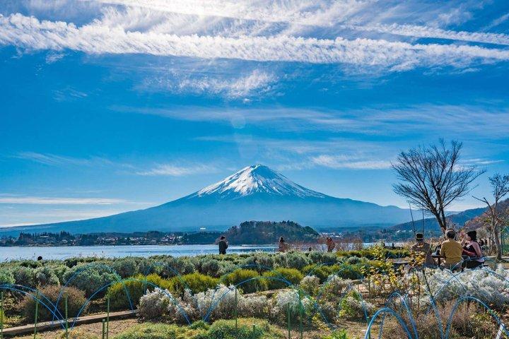 Mt Fuji and Hakone Gem Private Tour Licensed Guide with Driver