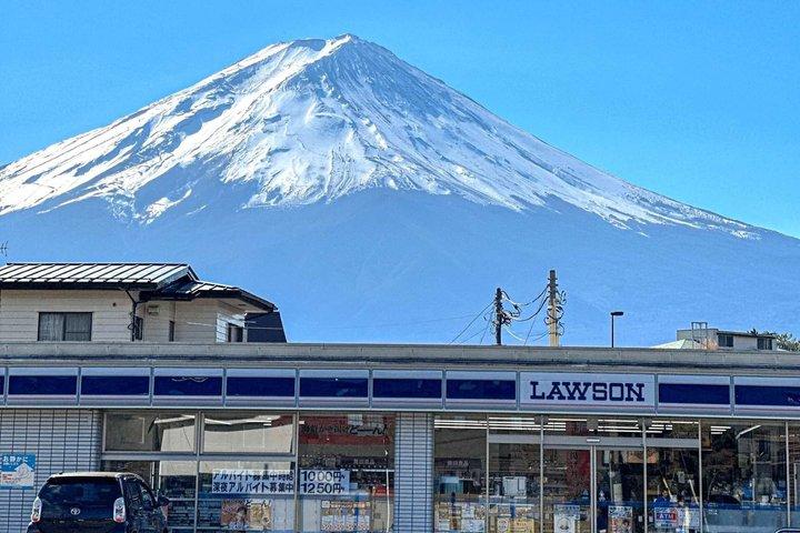 Mt Fuji and Hakone Gem Private Tour Licensed Guide with Driver