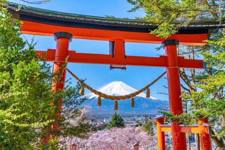 Mt Fuji and Hakone Gem Private Tour Licensed Guide with Driver