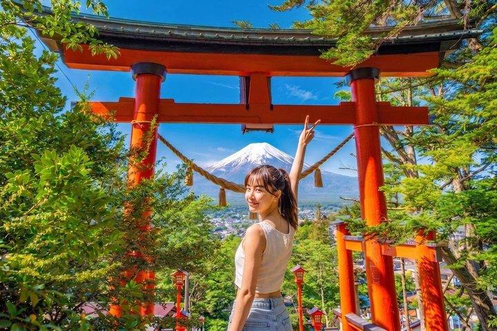 Mt Fuji and Hakone Gem Private Tour Licensed Guide with Driver