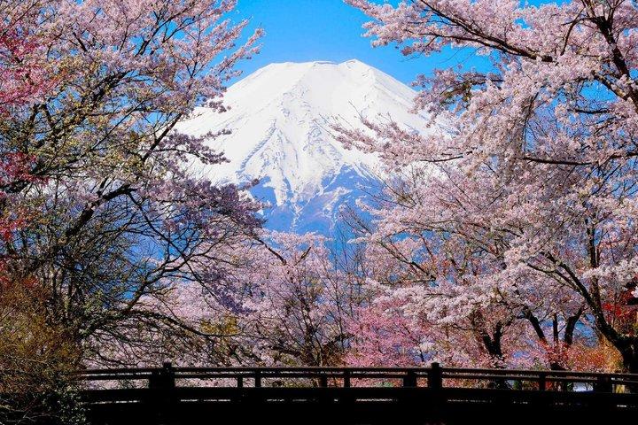 Mt Fuji and Hakone Gem Private Tour Licensed Guide with Driver