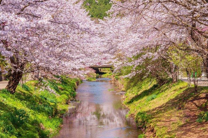 Mt Fuji and Hakone Gem Private Tour Licensed Guide with Driver
