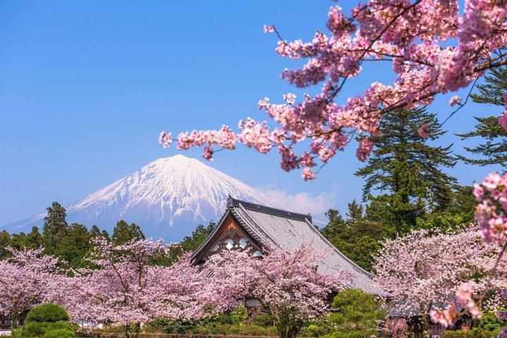 Mt Fuji and Hakone Gem Private Tour Licensed Guide with Driver