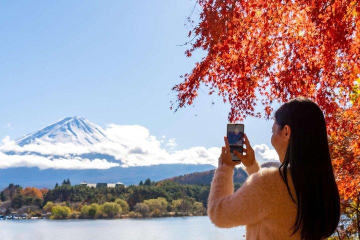 Mt Fuji and Hakone Gem Private Tour Licensed Guide with Driver