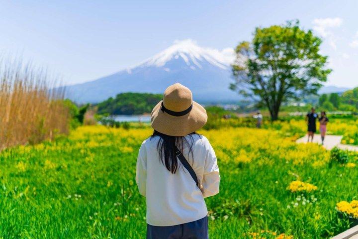 Mt Fuji and Hakone Gem Private Tour Licensed Guide with Driver