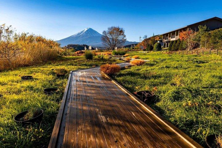 Mt Fuji and Hakone Gem Private Tour Licensed Guide with Driver