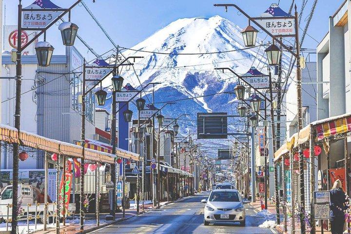 Mt Fuji and Hakone Gem Private Tour Licensed Guide with Driver