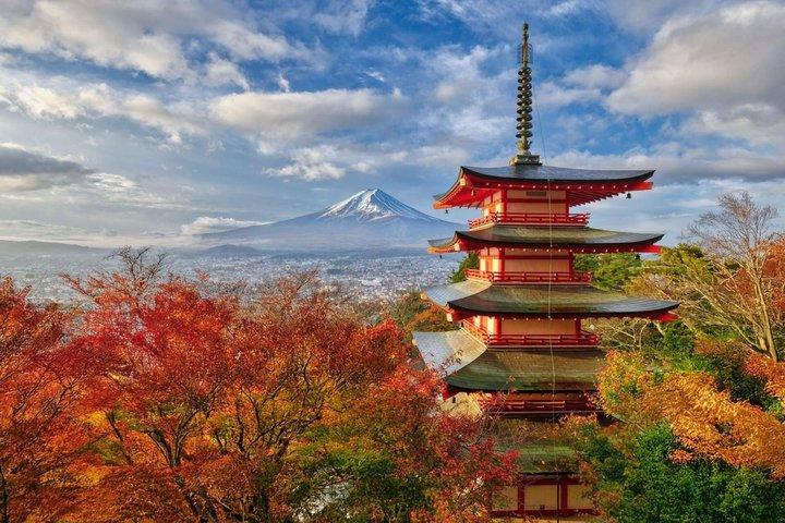Mt Fuji and Hakone Gem Private Tour Licensed Guide with Driver