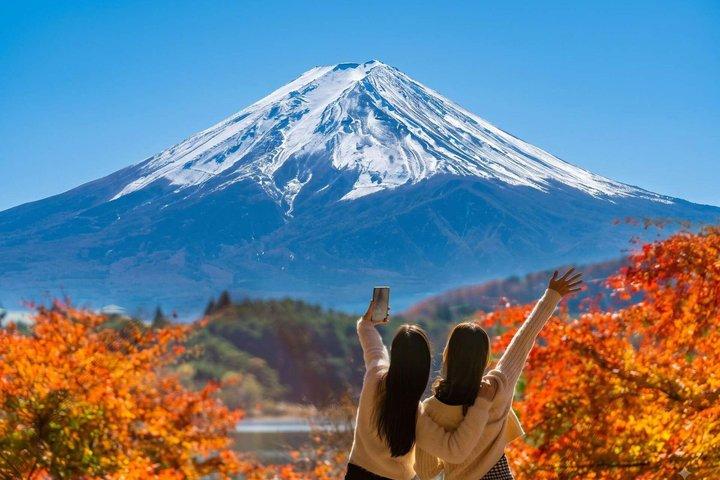 Mt Fuji and Hakone Gem Private Tour Licensed Guide with Driver