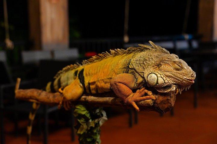 ビンパールフーコックベトナムリラックスの楽しさと発見の世界