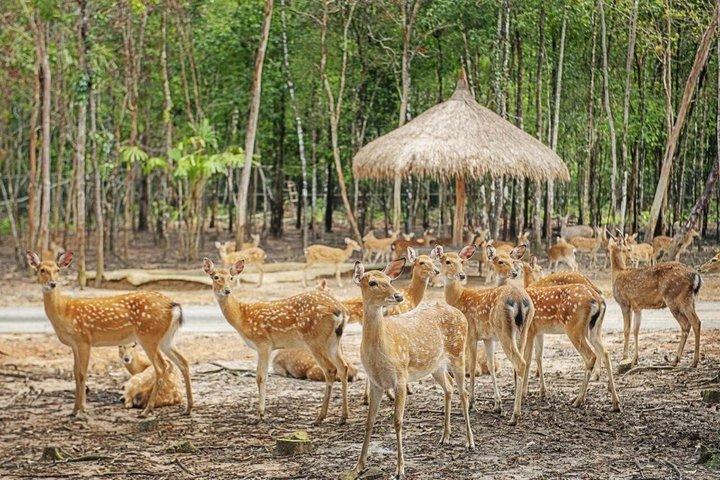 ビンパールフーコックベトナムリラックスの楽しさと発見の世界