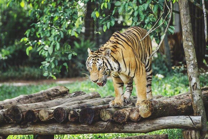 ビンパールフーコックベトナムリラックスの楽しさと発見の世界
