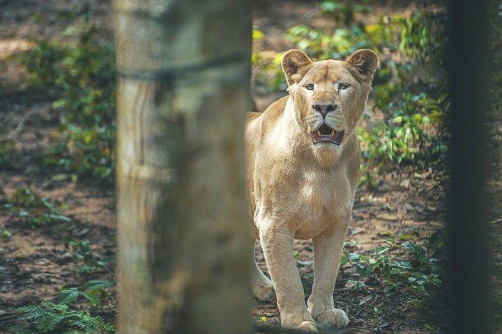ビンパールフーコックベトナムリラックスの楽しさと発見の世界