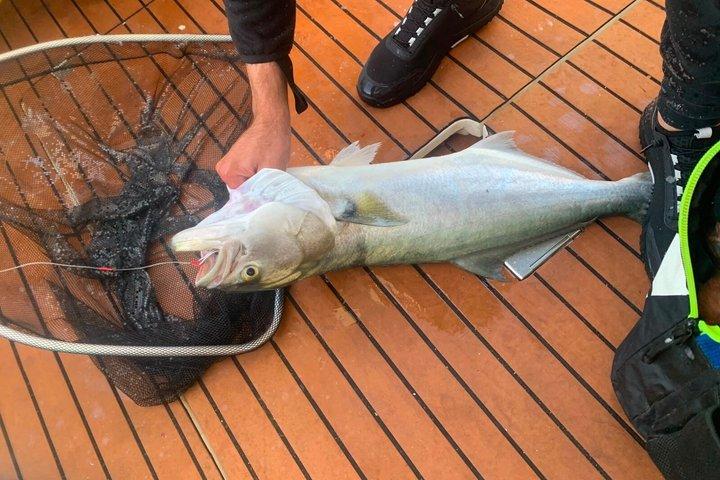 プエルト・シェリーでのプライベート釣り体験