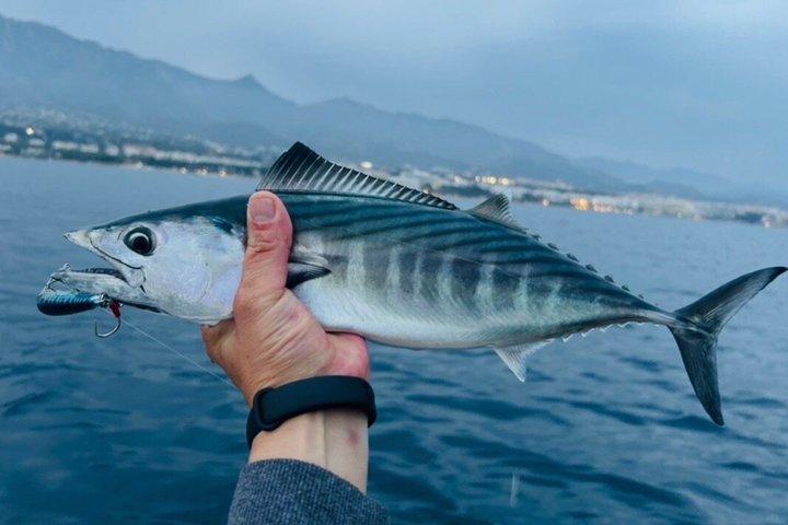 プエルト・シェリーでのプライベート釣り体験