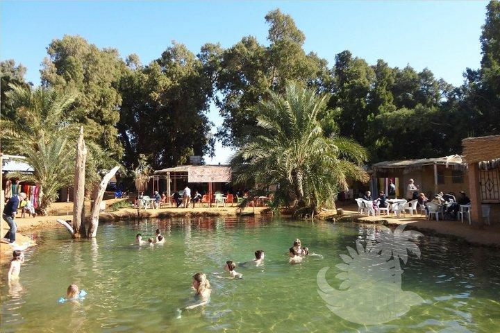 Ksar Ghilane Hot Spring Day Trip from Douz