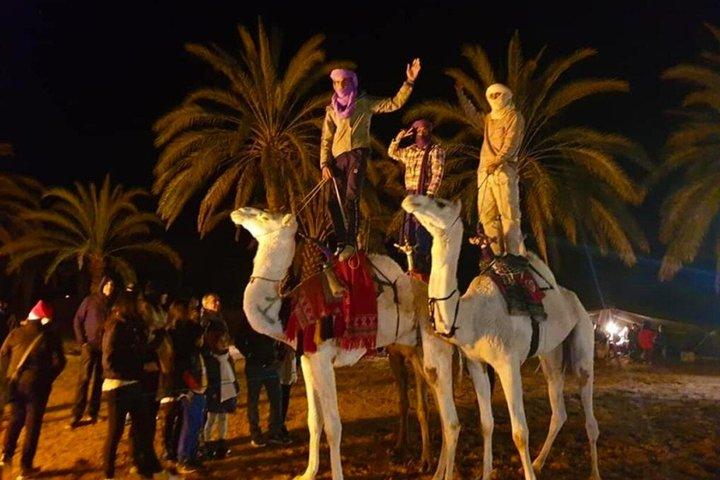 Ksar Ghilane Oasis Overnight Tour from Douz