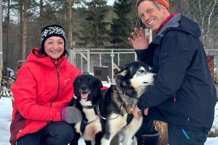 Private Husky Sledding: Drive or Ride – 2 Hours from Tromsø
