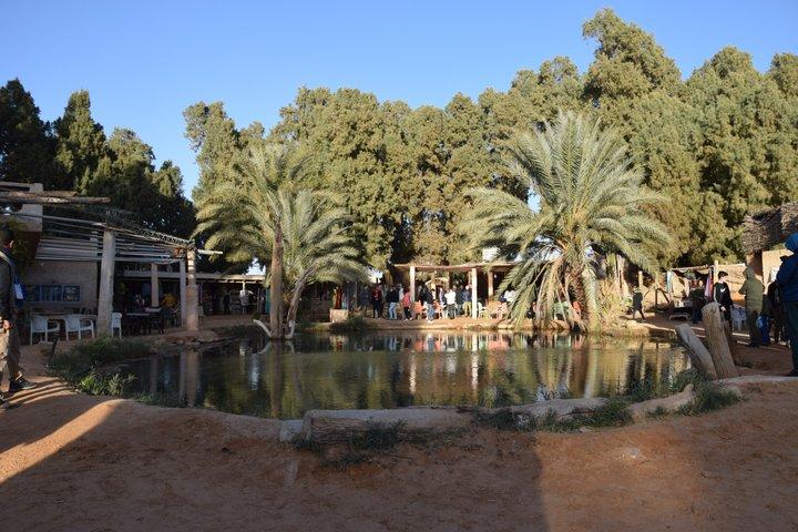 Ksar Ghilane Oasis Overnight Tour from Douz