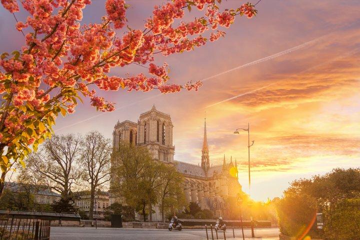 Notre-Dame indgang med flersproget lyd guide app