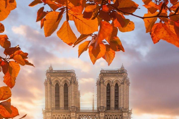 Notre-Dame indgang med flersproget lyd guide app