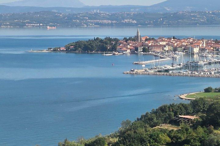 Experience Slovenian Coast line with Wine Tasting from Trieste