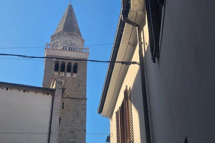 Experience Slovenian Coast line with Wine Tasting from Trieste