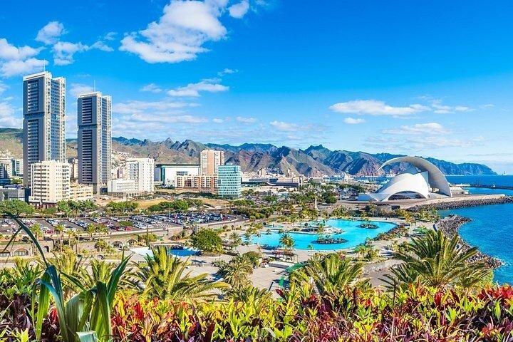 テネリフェのベスト：港からのピックアップ付きパノラマ海岸ツアー