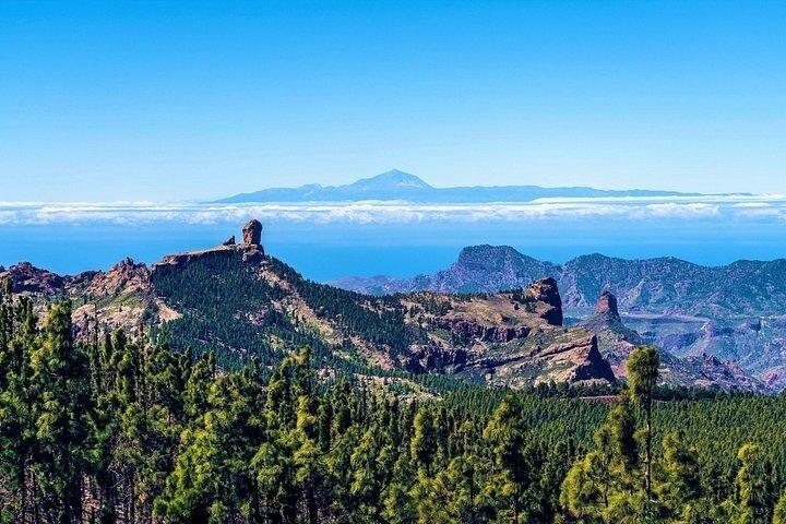 テネリフェのベスト：港からのピックアップ付きパノラマ海岸ツアー