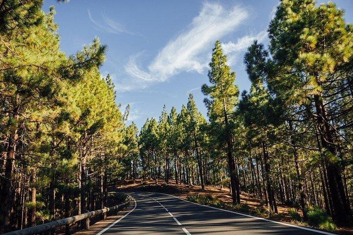 テネリフェのベスト：港からのピックアップ付きパノラマ海岸ツアー