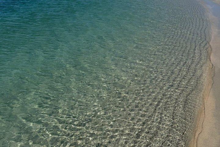 リスボンからのアラビダ自然公園日帰り旅行