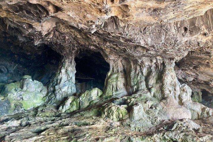 リスボンからのアラビダ自然公園日帰り旅行