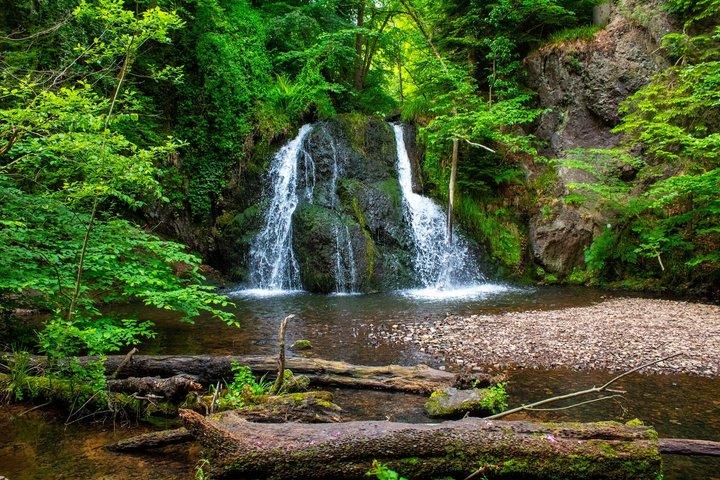 Black Isle Brewery & Fairy Glen Falls Private Shore Tour