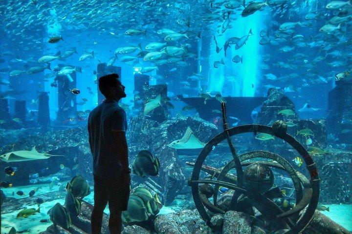アトランティス・ザ・パーム（ロスト・チャンバーズ）のロストワールド水族館チケット