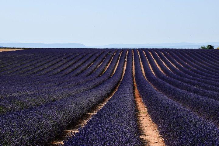Valensole Lavender Fields & Moustiers Private Tour from Marseille